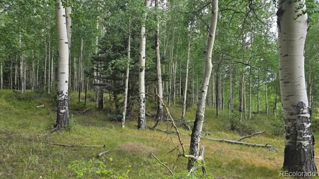 Lots 6276 & 6277 Malcolm and Shioshita Road San Luis, CO 81152