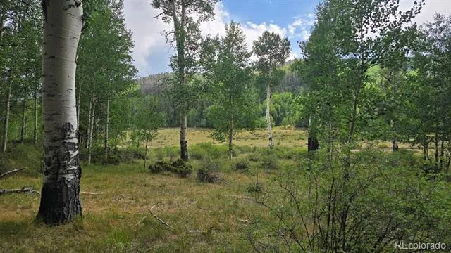 Lots 6276 & 6277 Malcolm and Shioshita Road San Luis, CO 81152