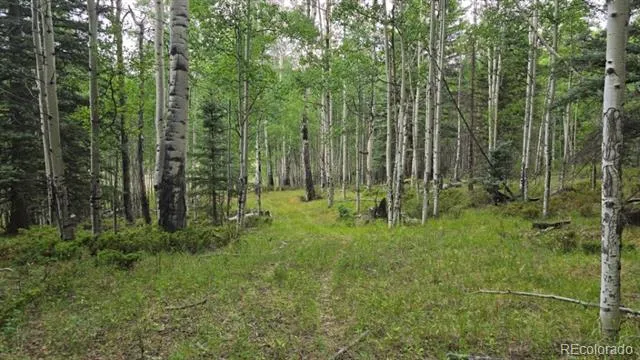 Lots 6276 & 6277 Malcolm and Shioshita Road San Luis, CO 81152