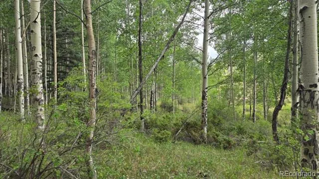 Lots 6276 & 6277 Malcolm and Shioshita Road San Luis, CO 81152