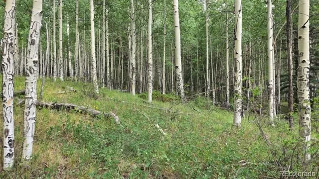 Lots 6276 & 6277 Malcolm and Shioshita Road San Luis, CO 81152