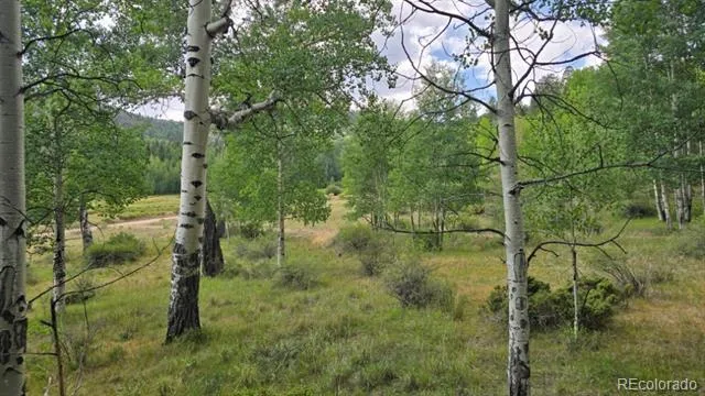 Lots 6276 & 6277 Malcolm and Shioshita Road San Luis, CO 81152