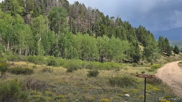 Lots 6276 & 6277 Malcolm and Shioshita Road San Luis, CO 81152