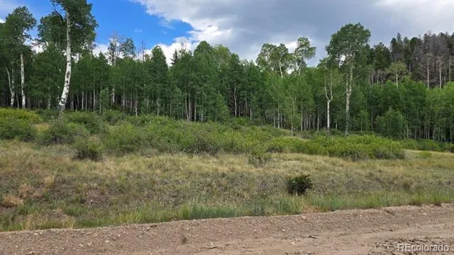 Lots 6276 & 6277 Malcolm and Shioshita Road San Luis, CO 81152