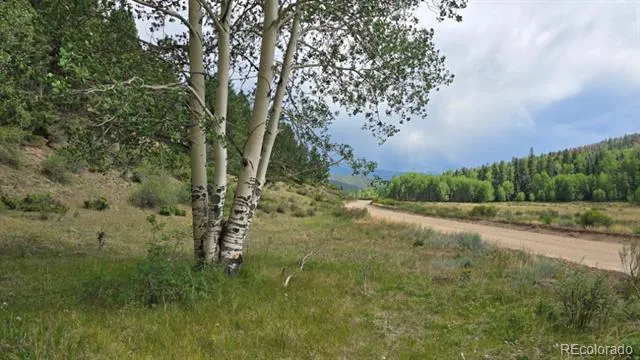 Lots 6276 & 6277 Malcolm and Shioshita Road San Luis, CO 81152