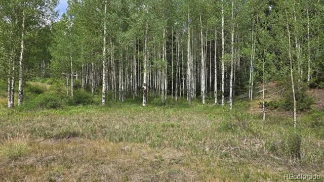 Lots 6276 & 6277 Malcolm and Shioshita Road San Luis, CO 81152