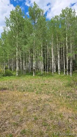 Lots 6276 & 6277 Malcolm and Shioshita Road San Luis, CO 81152