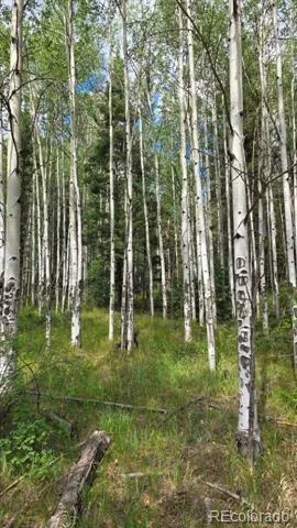 Lots 6276 & 6277 Malcolm and Shioshita Road San Luis, CO 81152