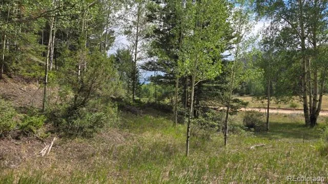 Lots 6276 & 6277 Malcolm and Shioshita Road San Luis, CO 81152