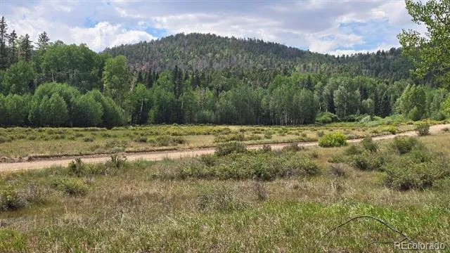 Lots 6276 & 6277 Malcolm and Shioshita Road San Luis, CO 81152