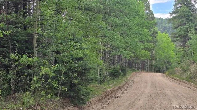 Lots 6276 & 6277 Malcolm and Shioshita Road San Luis, CO 81152