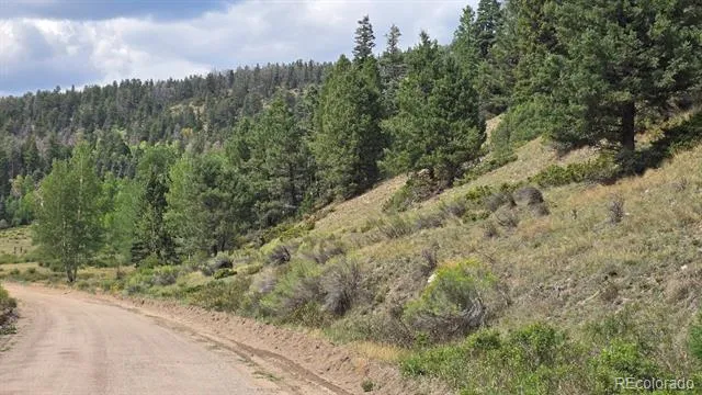 Lots 6276 & 6277 Malcolm and Shioshita Road San Luis, CO 81152