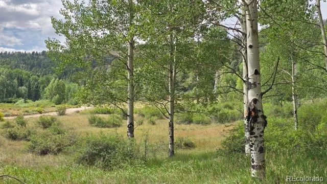 Lots 6276 & 6277 Malcolm and Shioshita Road San Luis, CO 81152