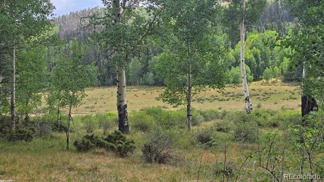 Lots 6276 & 6277 Malcolm and Shioshita Road San Luis, CO 81152