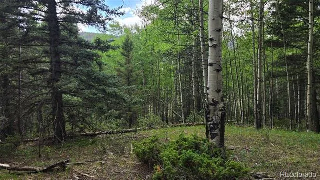 Lots 6276 & 6277 Malcolm and Shioshita Road San Luis, CO 81152