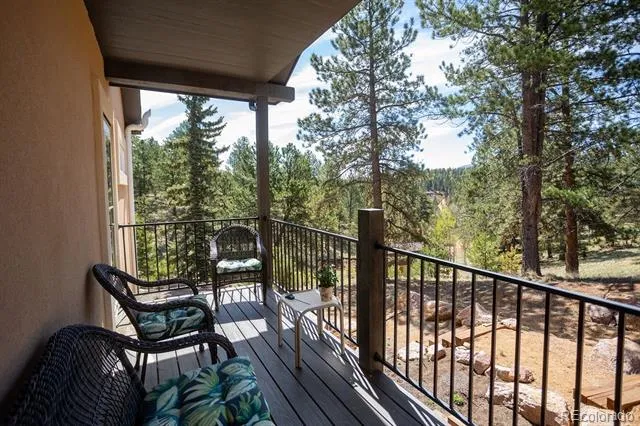 45 Valley Circle Divide, CO 80814