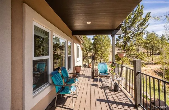 45 Valley Circle Divide, CO 80814