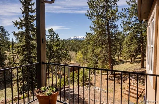 45 Valley Circle Divide, CO 80814