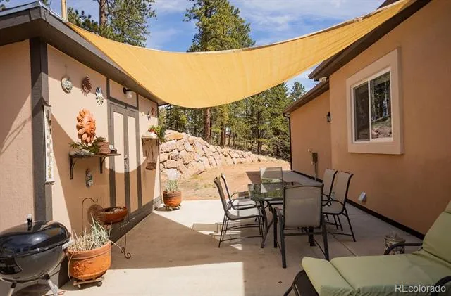 45 Valley Circle Divide, CO 80814
