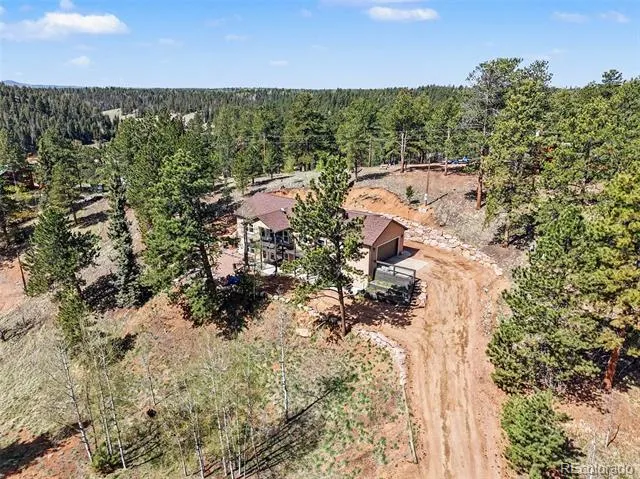 45 Valley Circle Divide, CO 80814
