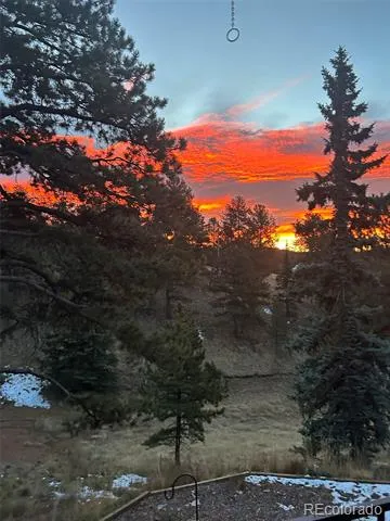 45 Valley Circle Divide, CO 80814
