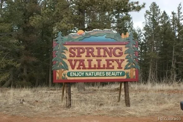 45 Valley Circle Divide, CO 80814
