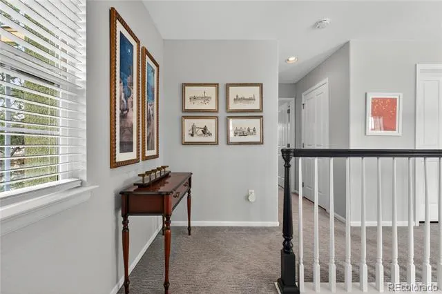 3997 Blue Pine Circle Highlands Ranch, CO 80126