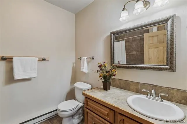 248 Puma Place Fairplay, CO 80440