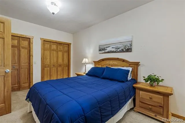 248 Puma Place Fairplay, CO 80440