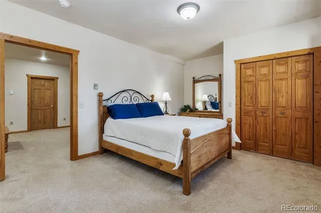 248 Puma Place Fairplay, CO 80440