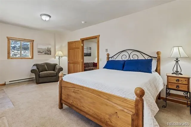 248 Puma Place Fairplay, CO 80440