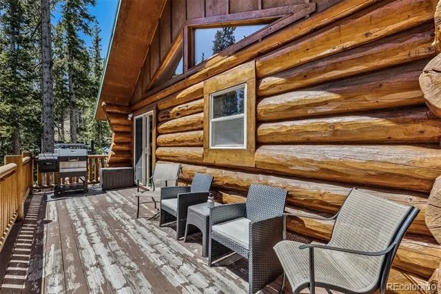 248 Puma Place Fairplay, CO 80440
