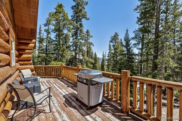 248 Puma Place Fairplay, CO 80440