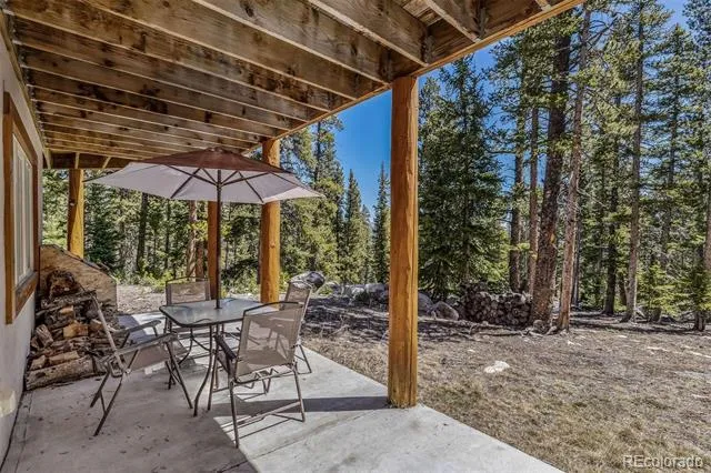 248 Puma Place Fairplay, CO 80440