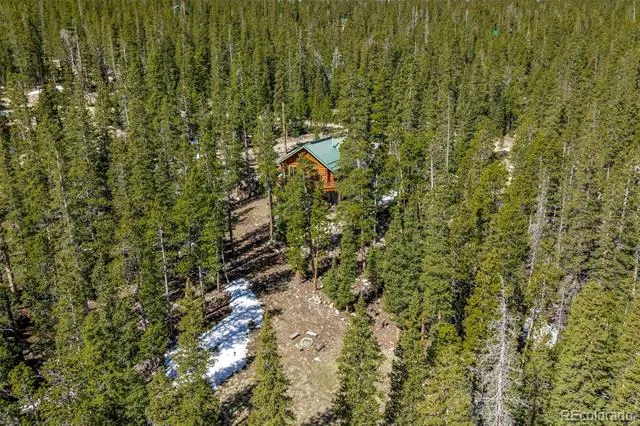 248 Puma Place Fairplay, CO 80440