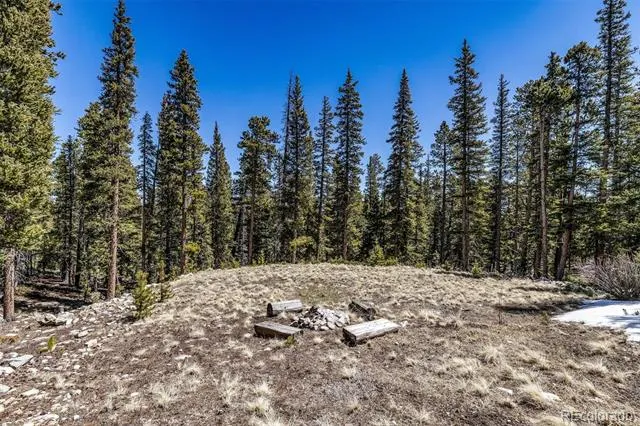 248 Puma Place Fairplay, CO 80440