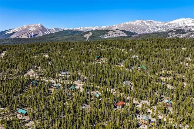 248 Puma Place Fairplay, CO 80440