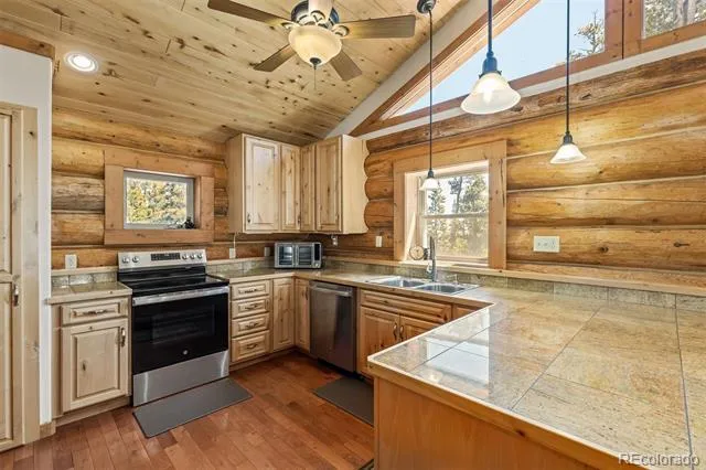 248 Puma Place Fairplay, CO 80440