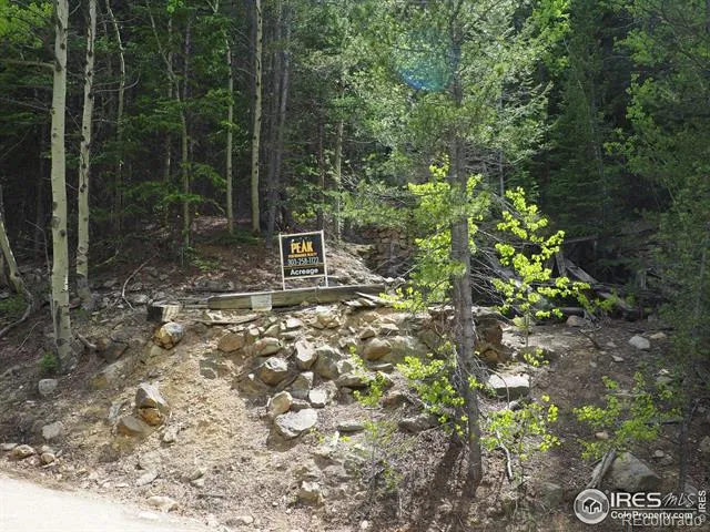 0 Gamble Gulch Black Hawk, CO 80422