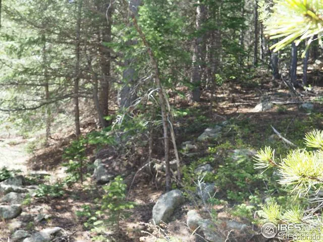 0 Gamble Gulch Black Hawk, CO 80422