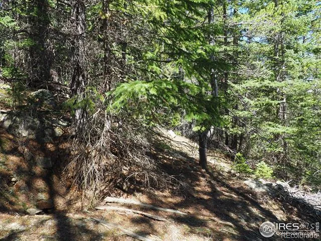 0 Gamble Gulch Black Hawk, CO 80422