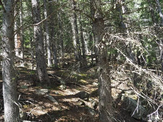 0 Gamble Gulch Black Hawk, CO 80422