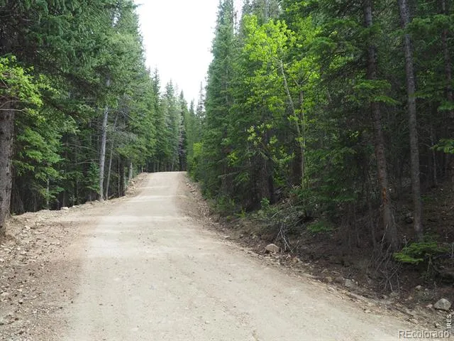 0 Gamble Gulch Black Hawk, CO 80422