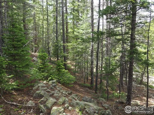 0 Gamble Gulch Black Hawk, CO 80422
