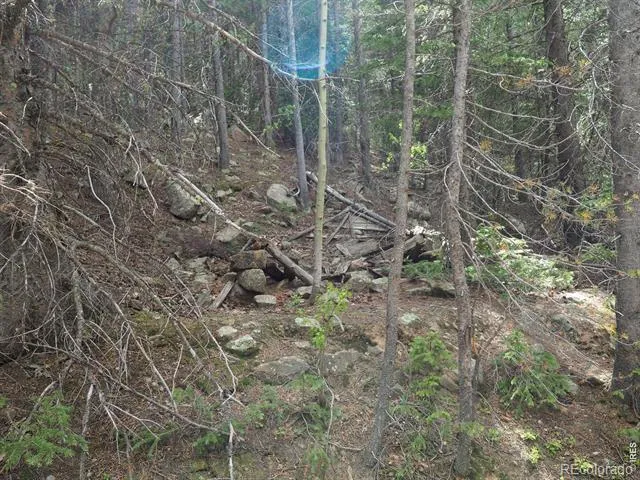 0 Gamble Gulch Black Hawk, CO 80422