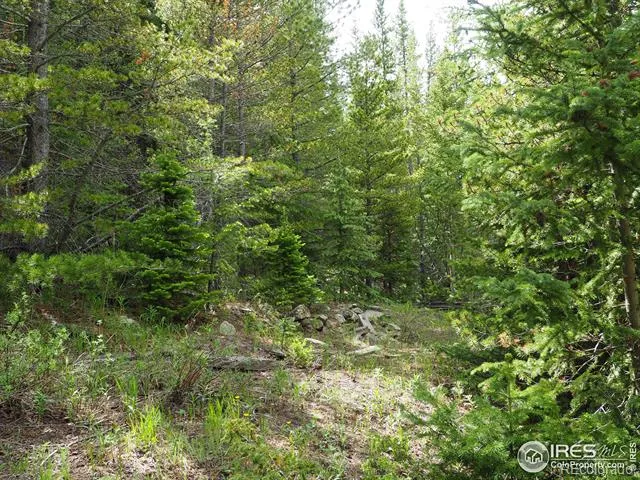 0 Gamble Gulch Black Hawk, CO 80422