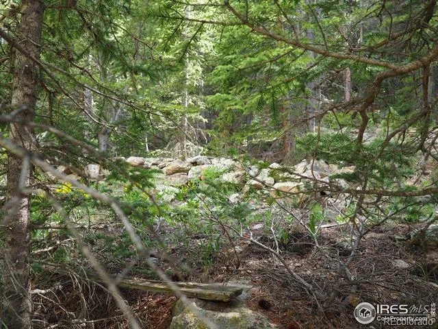 0 Gamble Gulch Black Hawk, CO 80422