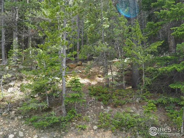 0 Gamble Gulch Black Hawk, CO 80422