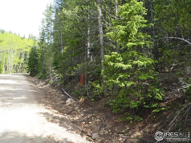 0 Gamble Gulch Black Hawk, CO 80422