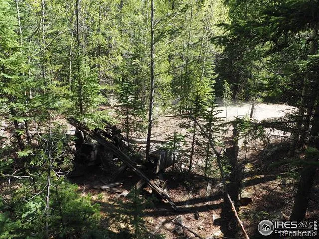 0 Gamble Gulch Black Hawk, CO 80422